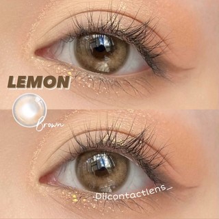 Kính áp tròng lemon brown