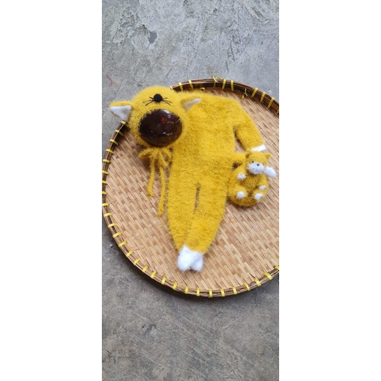 Bộ mèo vàng sơ sinh