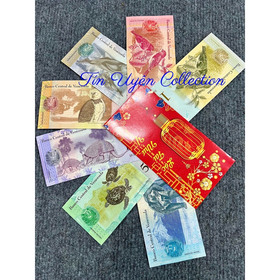 Set 7 tờ Venezuela mới đẹp lung linh kỷ niệm, sưu tầm, biếu tặng Lì Xì Tết độc đáo