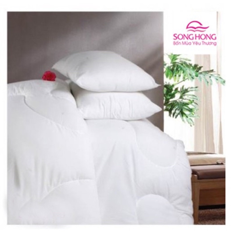 Ruột chăn bông Sông Hồng loại dày cho mùa đông, mền cao cấp