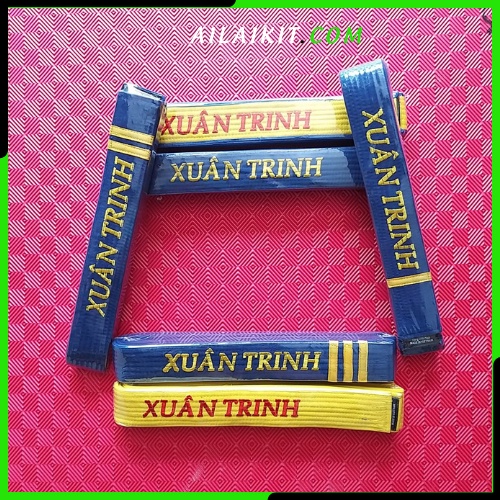 Vovinam Karate Taekwondo Ailaikit