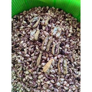 Lạc Hoa Mèo