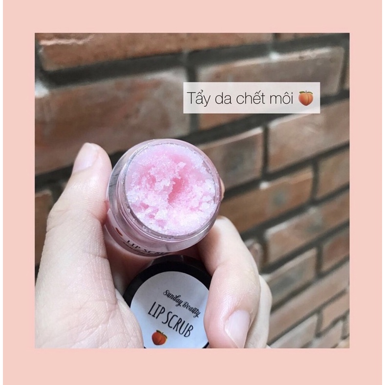 Tẩy da chết môi đào làm hồng giảm thâm môi thiên nhiên Sunday Beauty handmade