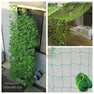 Lưới làm giàn leo khổ 1.8m x dài 10m DAIM Nhật Bản - Smartgarden - làm giàn leo cho các loại cây leo