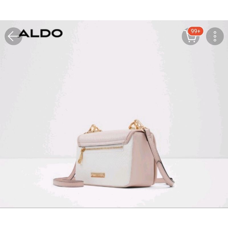 Túi sách aldo new