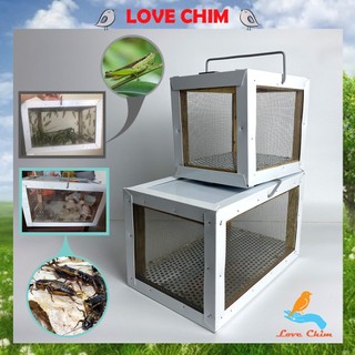 Hộp đựng dế cào cào cho chim cảnh, Hộp dế, Hộp nuôi dế, Phụ kiện lồng chim rẻ LOVECHIM