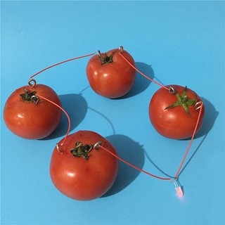 Bộ Thí Nghiệm Khoa Học Máy Phát Điện Từ Pin Trái Cây Sáng Tạo Cho Bé Nghiên Cứu Khoa Học Stem