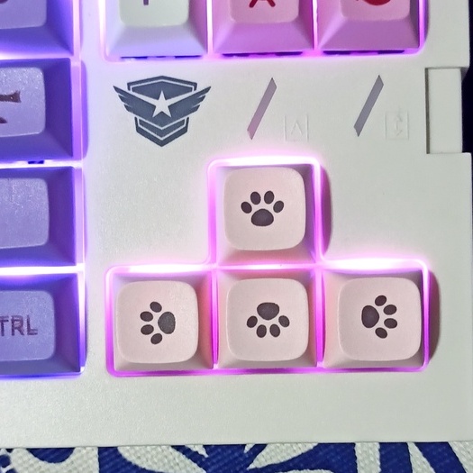 X Bộ Phím Rời PBT Hình Mèo Dễ Thương