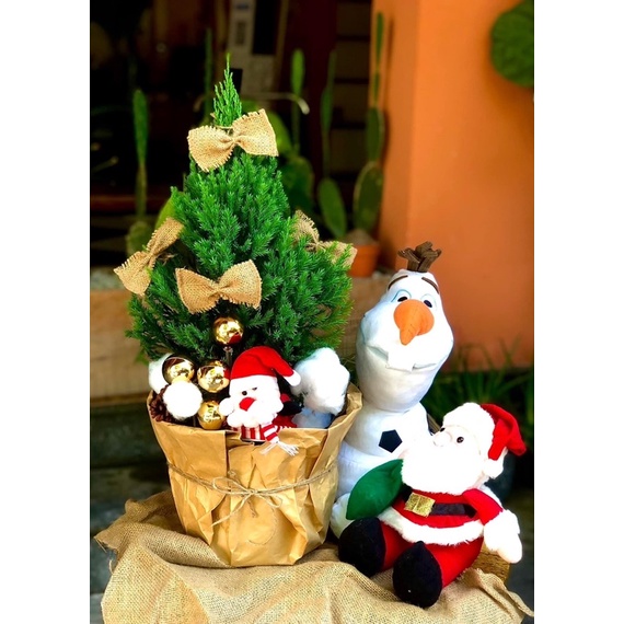 Gấu bông Olaf frozen size 30-60cm