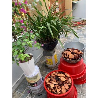 100gr CAO HÀ THỦ Ô ( HÀNG ĐẢM BẢO CHẤT LƯỢNG - UY TÍN 100% )