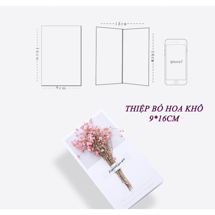 BÓ HOA KHÔ decor nhiều màu bền đẹp, THIỆP 3D HOA KHÔ phụ kiện trang trí chụp ảnh xinh xắn