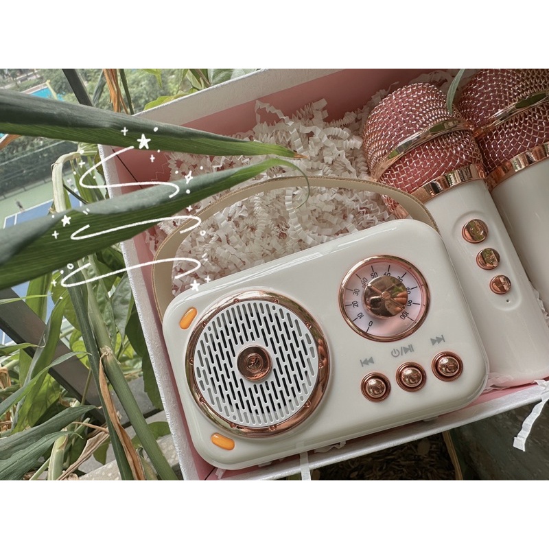 Loa bluetooth 2 MIC karaoke retro dễ thương có thể thay đổi 6 tone giọng - Một chút xinh