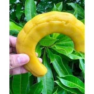 88K Bịch 700g Me ngâm chua ngọt thái lan