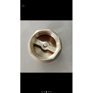 van 1 chiều lò xo 21-27-34- van lá lật 1 chiều