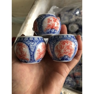 cóng mào choè vẽ tay
