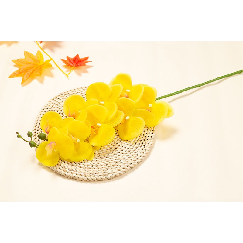 Hoa giả hoa lan hồ điệp giả chất liệu cao su cành 9 bông hoa trang trí tết phòng khách siêu đẹp Erica