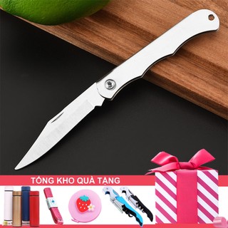 Dao Gọt Hoa Quả, Trái Cây Du Lịch Gấp Gọn Mini