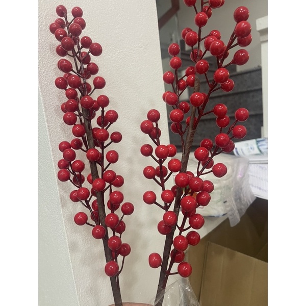 Đào đông 6 nhánh