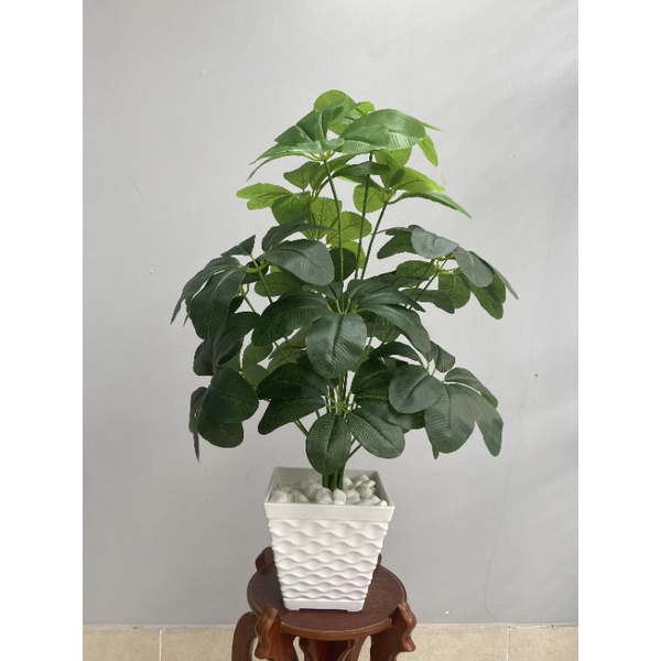 Cây kim ngân lượng, cây kim ngân lượng decor, cây ngân lượng giả trang trí, cây cheery 72cm