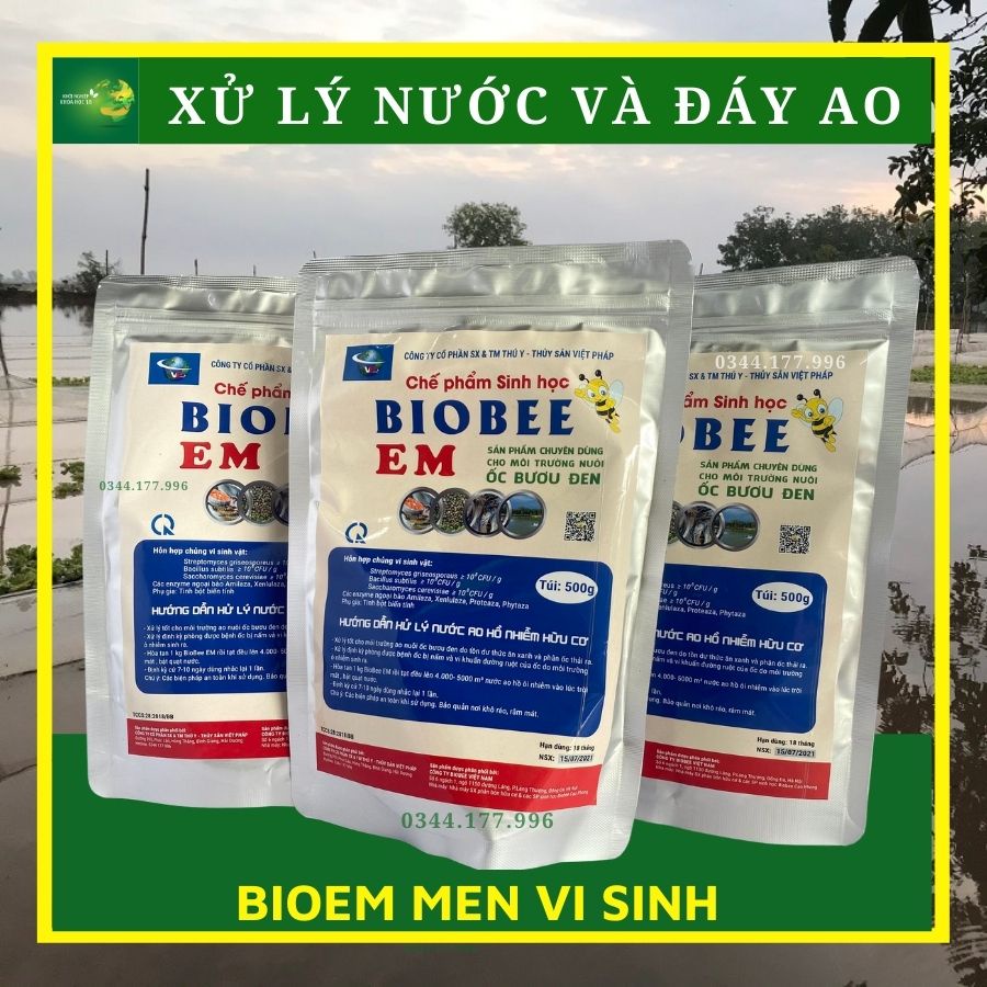 MEN VI SINH BIOEM - XỬ LÝ NƯỚC VÀ ĐÁY AO NUÔI ỐC