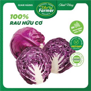 Bắp cải tím hữu cơ Đà Lạt tiêu chuẩn VietGAP (Quả 650gr ~ 700gr ship hỏa tốc 1 giờ)