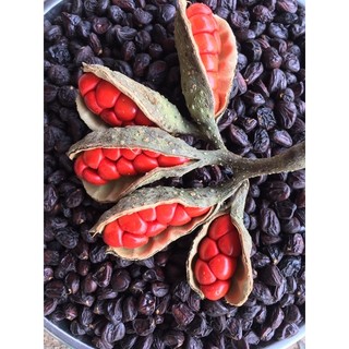 1kg HẠT DỔI
