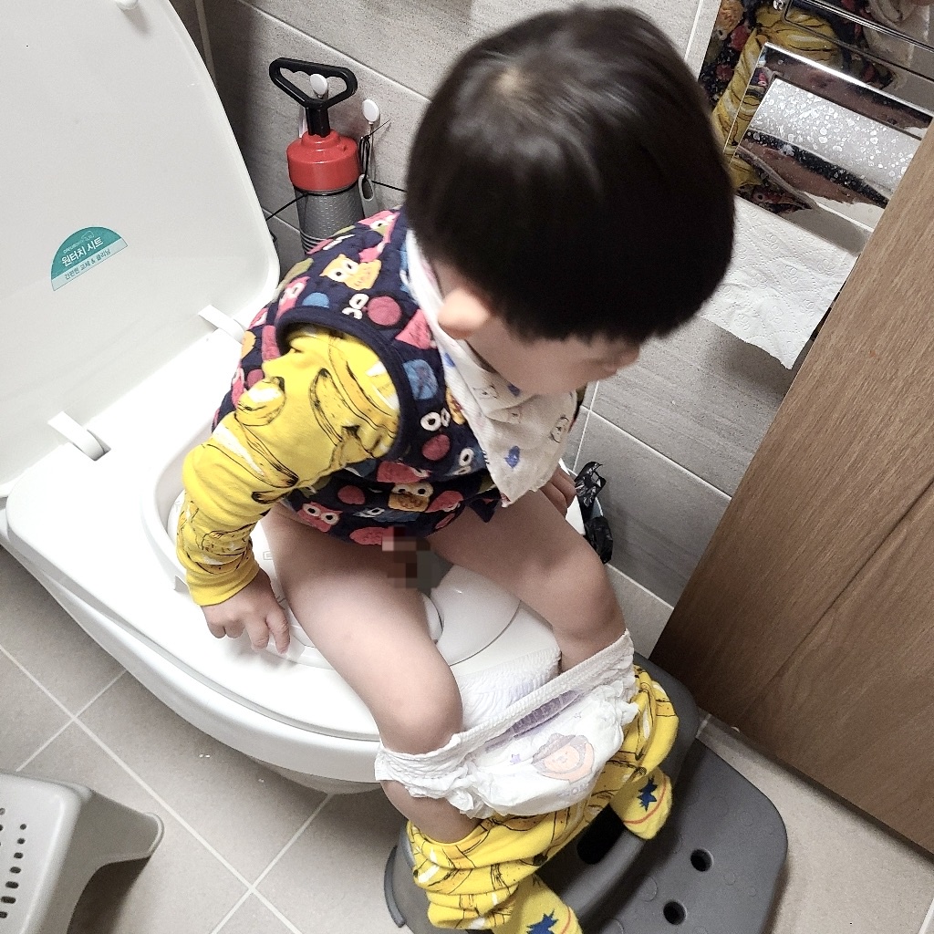 BỆ NGỒI TOILET CHO BÉ AGUARD HÀN QUỐC
