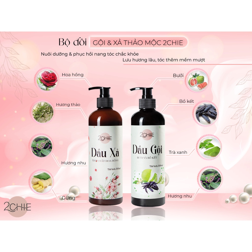 Combo 2CHIE Gồm Dầu Gội Và Dầu Xả Thành Phần Thảo Mộc Cổ Truyền Nuôi Dưỡng Phục Hồi Nang Tóc 500ml