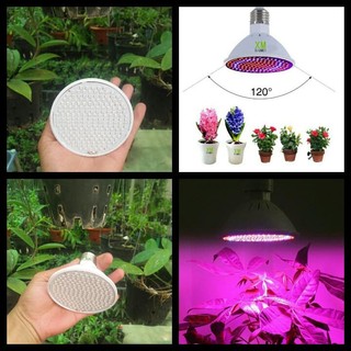 đèn led trồng cây E27 - 26W - 200 SMD