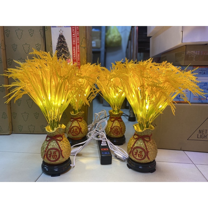 BÌNH BÔNG LÚA TÚI TIỀN VỀ HÀNG, BÌNH BÔNG LÚA TÚI TIỀN TRANG TRÍ NHÀ CỬA