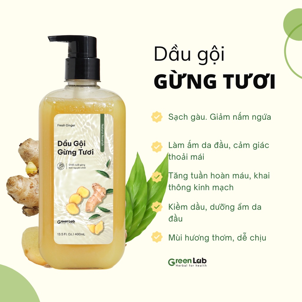 Dầu Gội Gừng Tươi GreenLab Sạch Gàu Ấm Da Đầu Tóc Chắc Khoẻ Mềm Mượt Chai 400ml
