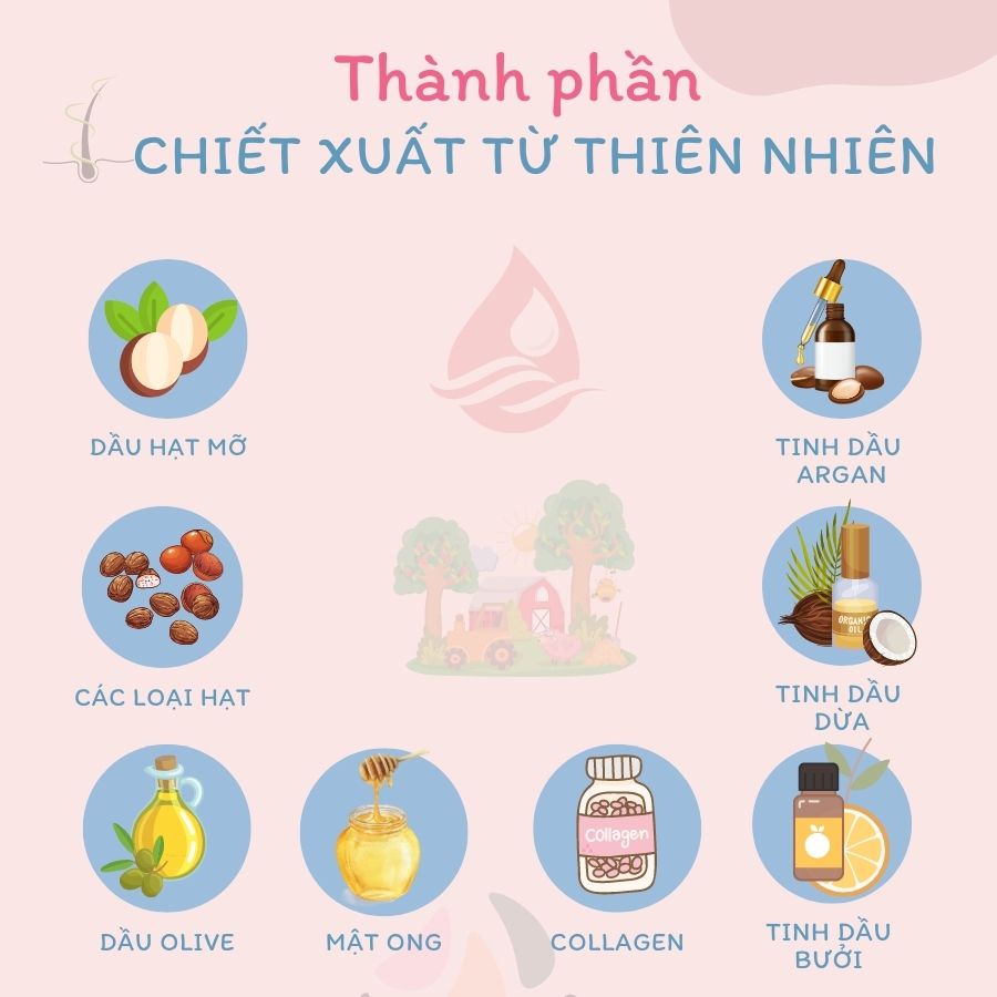 Tinh chất dưỡng tóc Daily repair hair essence Hair Diary