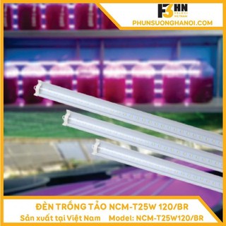 Đèn nuôi cấy rạng đông - đèn trồng tảo rạng đông ncm-t25w 120/br