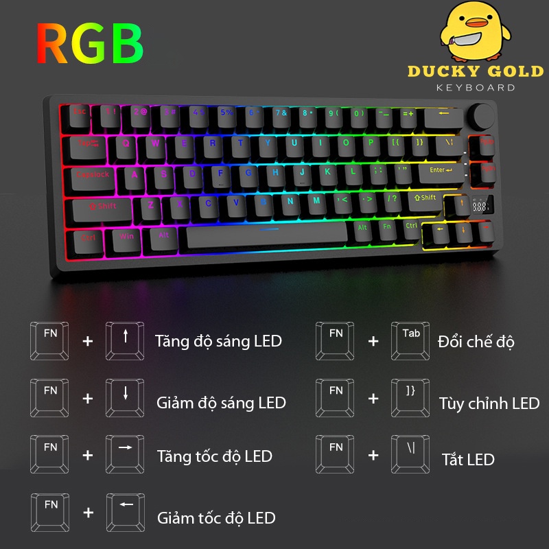 Bộ kit bàn phím cơ DK67 V2 - 3 chế độ - Màn Hình Hiển Thị - Hotswap - Núm Xoay - LED RGB