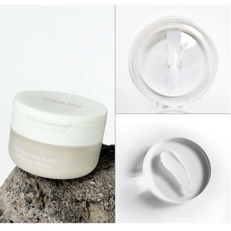 Kem dưỡng ngày và đêm EWE