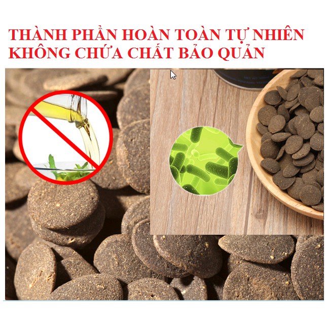Thức ăn cao cấp dành cho cá chuột và các dòng cá tầng đáy - giúp cá tăng màu và hỗ trợ tiêu hoá