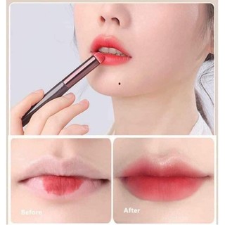 Cọ Tán Son Môi hot