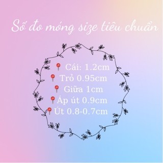 Nailbox thiết kế mẫu móng ngắn