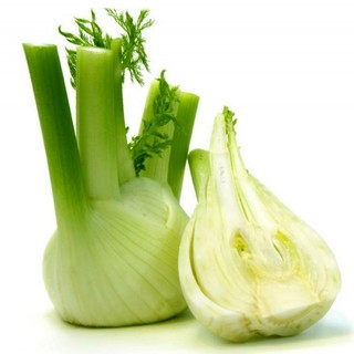 50h hạt giống củ hồi, củ thì là fennel finnocchio