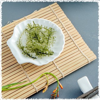 Đĩa sò 9cm sứ long phương - đĩa sứ hình vỏ sò đựng trang sức tiện dụng
