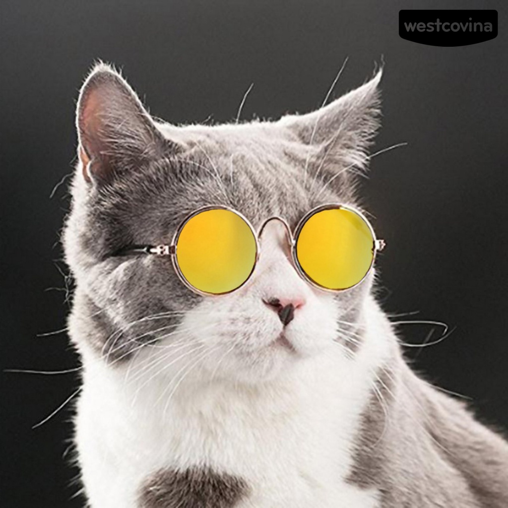 [Hot]♝Kính Mát Gọng Nhựa Hình Mèo Thời Trang Cho Thú Cưng