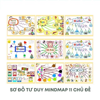 Sơ Đồ Tư Duy Mindmap Cho Bé Học Tiếng Anh Giấy C300 Cán Bóng Hình Ảnh Đẹp