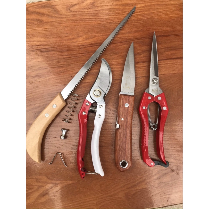 Combo 4 món chăm sóc cây cảnh, bonsai