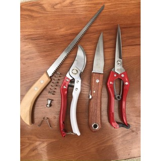 Combo 4 món chăm sóc cây cảnh, bonsai