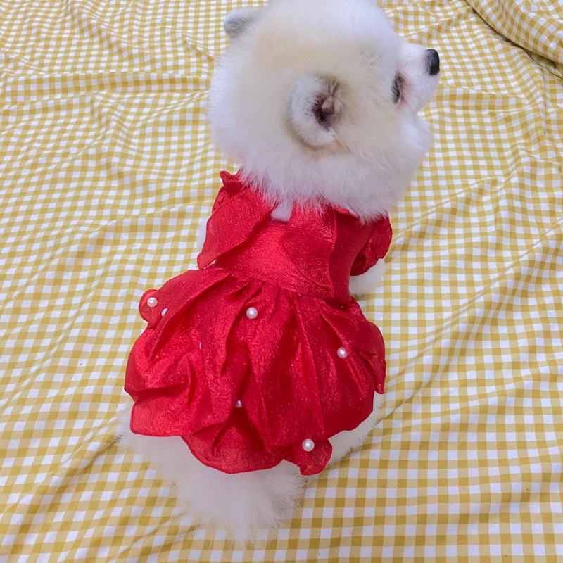 Đầm bí voan cao cấp chó mèo