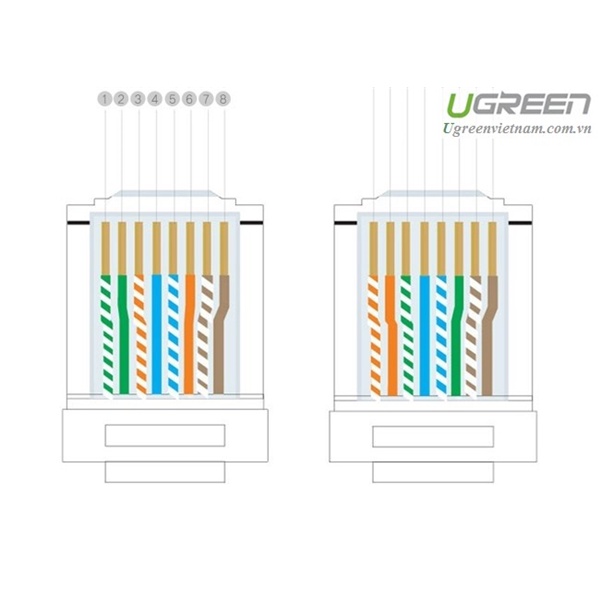 Hạt mạng RJ45 Cat6 bọc sắt (100c/ hộp) Ugreen 50248 cao cấp - Hàng chính hãng