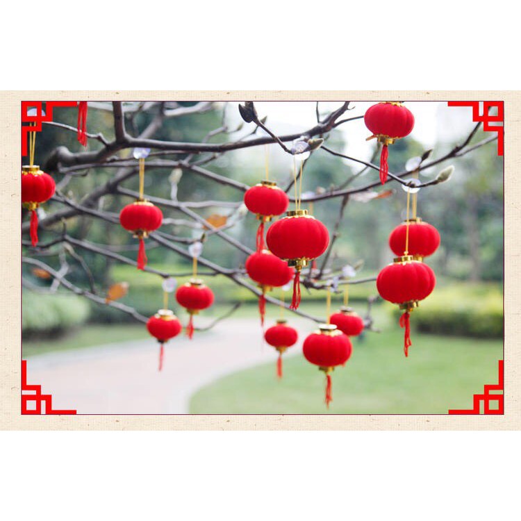 quả đèn lồng nhung quả cầu trang trí cây đào, quất ngày Tết