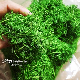 Bột Cỏ / Sợi Cỏ Trang Trí Hoa, Phủ Chậu Cây