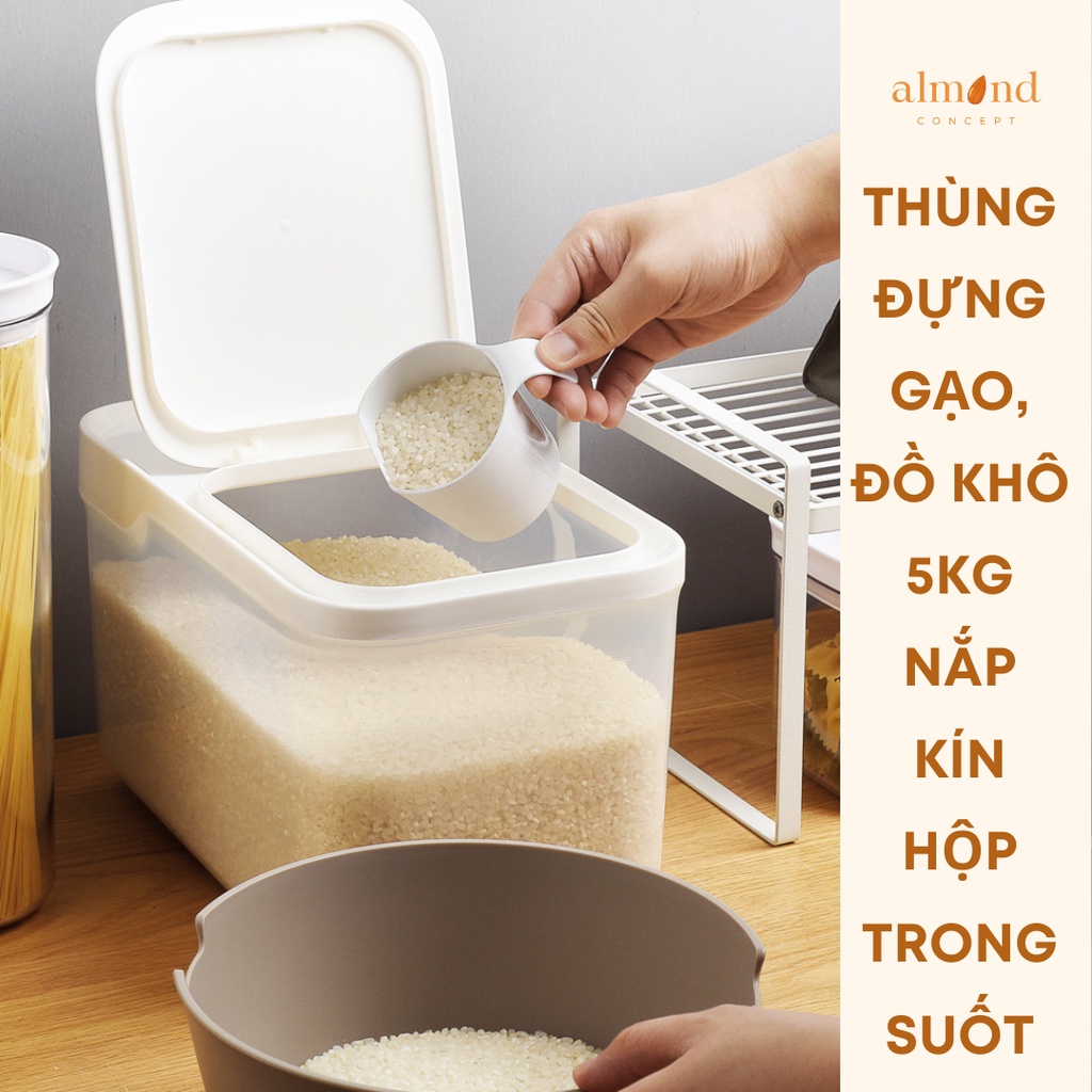 Thùng Đựng Gạo 5kg, Thùng Gạo nhỏ Chống Ẩm, Chống Mối Mọt Kháng khuẩn loại 5kg - almondconcept