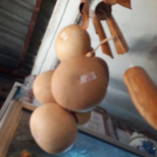 Bầu hồ lô  trái  khô